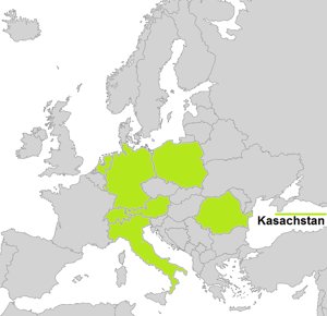 Anlieferung ins Ausland